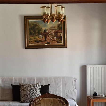 Κεντρικό Και Ευρύχωρο Οροφοδιαμέρισμα Kasztoriá Kültér fotó